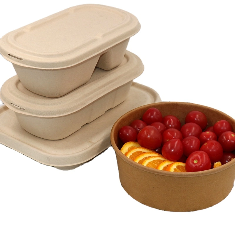 Disposable Pulp Food Containers Take Away Lunch Box Sugarcane Bagasse Biodegradable